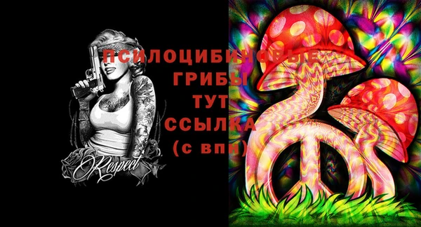 ECSTASY Алексин