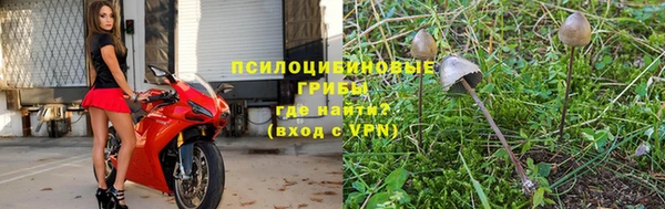 каннабис Алзамай