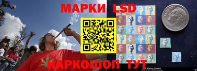 стаф Ирбит