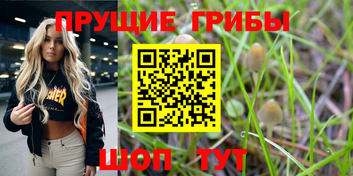 Галлюциногенные грибы Cubensis  Вход с VPN  Галлюциногенные грибы MAGIC MUSHROOMS  Геленджик 