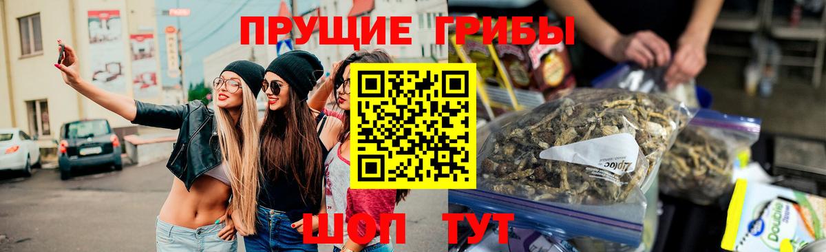 Псилоцибиновые грибы MAGIC MUSHROOMS Геленджик